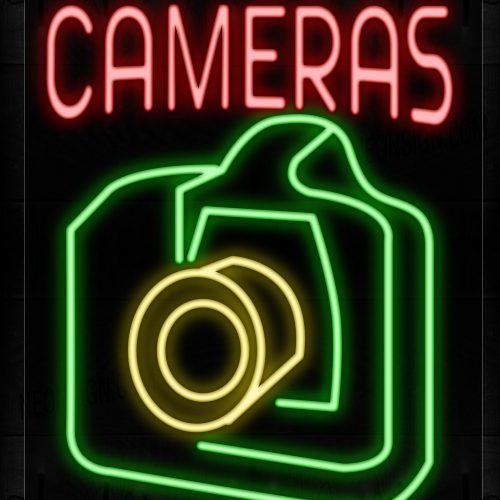 Image of 10456 Cameras With Logo Neon Signs_24x31 Black Backing